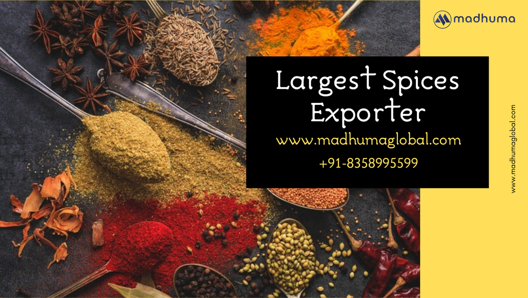 Cover photo of Madhuma Global - Website Design Company